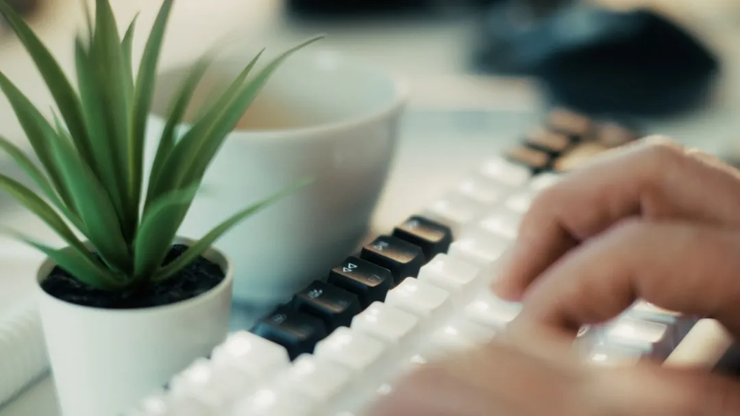 A person typing on a computer keyboard next to a potted plant