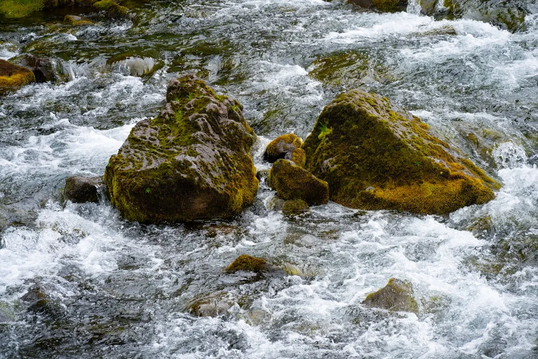 Rushing water flows around mossy rocks.
